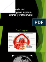Anatomía Del Diafragma