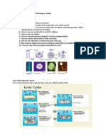 Chapter 2 - Viruses - Summary Notes PDF