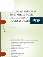 Cellular Response To Stress & Toxic Insults: Adaptation, Injury & Death