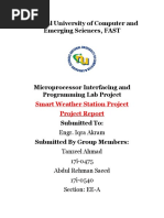 MIP_Project_Report