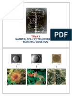 FG1920  Tema 1 Naturaleza y estructura mat gen (1)