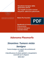 Adenoma Pleomorfo 2 PDF