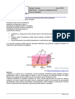 Estrutura e Funções da Pele Humana