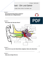 Das Ohr Test