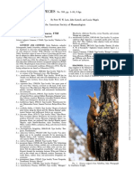 European Red Squirrel Species Document