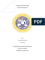 LAPORAN PRAKTIKUM MRI - Shesha Rahma A - 151810383013 PDF