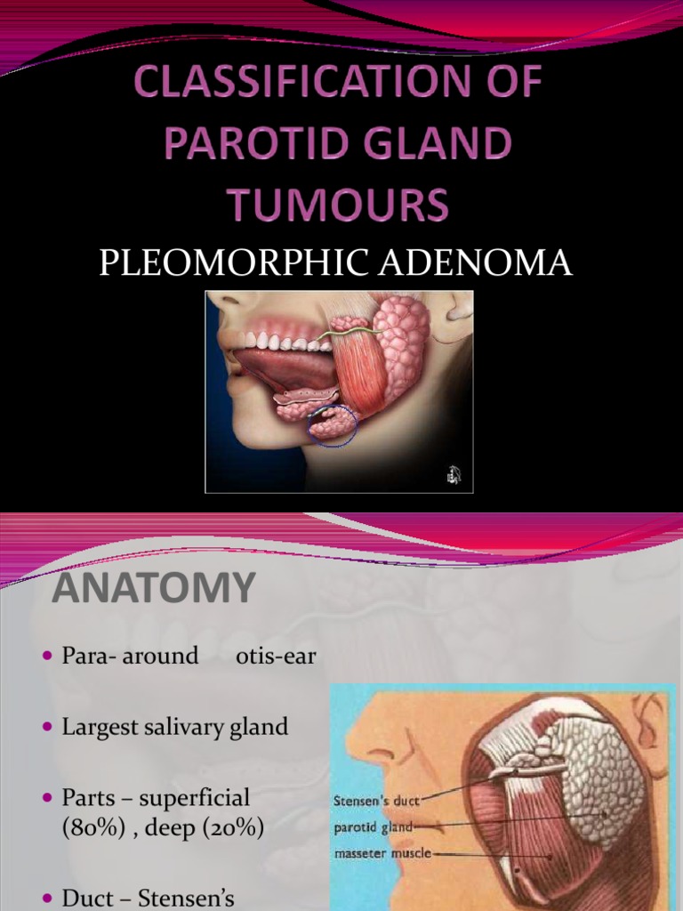 Parotid 121206120631 Phpapp01 | PDF | Human Anatomy | Organ (Anatomy)