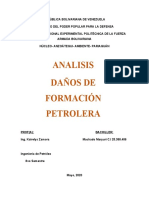 Analisis Maryuri M Daños de Formacion