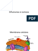 LP 5 Difuziunea Osmoza Si Mecanismele de Transport PDF