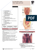 B14PathologyL1 - Diseases of the Vulva, Vaginal, and Cervix.docx