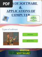 Types of Software & Applications of Computer: Efforts by