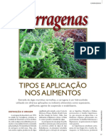 Carragenas: tipos e aplicação nos alimentos