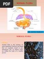 Normal Flora: Mr. Manoj Mahato