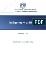 ImagenesyGraficas.pdf