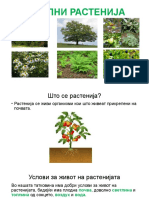 Локални растенија - презентација