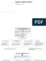 Normas Basicas Sistemas Safco