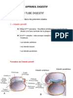 Digestif Embryologie de L'appareil Digestif