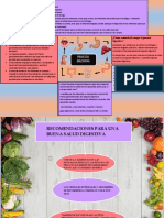 Proceso digestivo: Cómo funciona el aparato digestivo