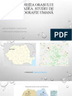 Analiza Orașului Oradea. Studiu de Geografie Umană