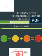 Procesamiento Tubular Del Filtrado Glomerular