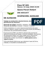 pase_laboral_4elhgdm7x_A01.pdf