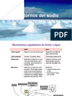3-Trastornos-del-Sodio-Luz-Angela-Casas.pdf