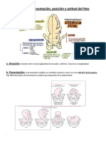 Anatomía de la pelvis y fisiología del embarazo.docx