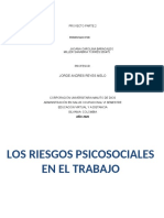 Los Factores de Peligro Psicosociales en El Trabajo