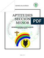 Aptitudes Sección Menor PDF