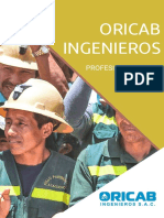 BROCHURE ORICAB_2020.pdf