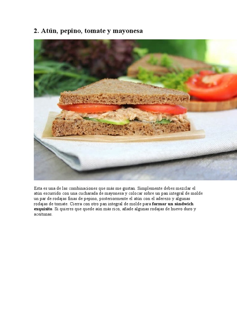 Receta de Sandwich de Atún, Pepino, Tomate y Mayonesa | PDF