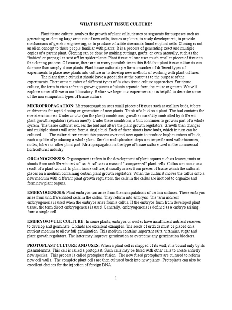 What Is Tissue Culture | PDF | Plant Hormone | Auxin