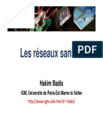 Badis RSF PDF