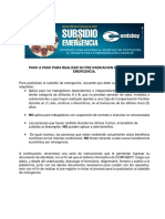 Manual Plataforma Subsidio de Emergencia PDF