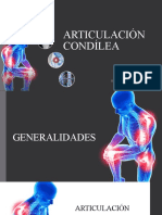 ARTICULACIÓN