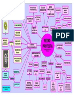 MAPA PROTISTA.pdf