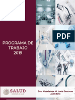 programa_de_trabajo_2019