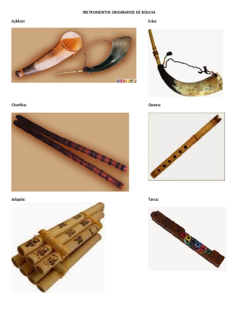 Instrumentos Originarios de Bolivia PDF