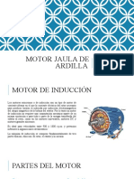 Motor Jaula de Ardilla