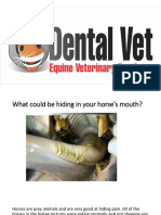 Dental Vet Brochure Picture 1