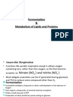 Fermentation & Metabolism of Lipids and Proteins
