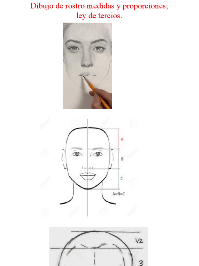 Medidas y Proporciones del Rostro | PDF