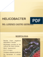 HELICOBACTER