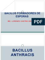 BACILOS FORMADORES DE ESPORAS