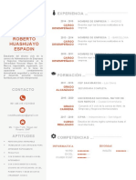 Plantilla Curriculum Vitae 1