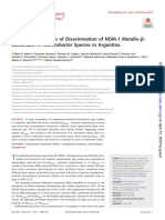 Distinct Mechanisms of Dissemination of NDM 1 Metallo Beta Lactamase in Acinetobacter Species in Argentina