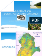 Ecosistemasdeldepartamentodecrdoba Colombia 130929172510 Phpapp02