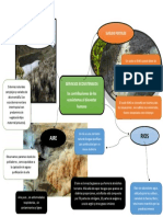 Mapa Mental Servicios Ecosistemicos