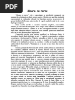 Moara cu noroc - comentariu