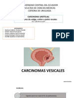 Exposición Uro Final